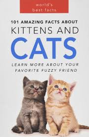 Read on for some interesting facts about cats that may surprise you. Buy Cats 101 Amazing Cat Facts Cat Books For Kids 101 Amazing Facts About Cats Cat Books For Kids Book Online At Low Prices In India Cats 101 Amazing Cat Facts