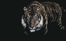 Nice Tiger 3d Hd Wallpaper Nice Tiger 3d Hd Wallpaper Tiger Wallpaper Animal Wallpaper Animals