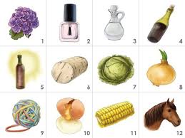 Wine Faults Aroma Kit 12 Or 24 Aromas Wine Aroma Kit Wine Aroma