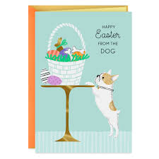 Jan 07, 2021 · for your significant other, you might decide to give more than one valentine card…and write more than one personal message. I D Love You Even Without Treats Easter Card From The Dog Greeting Cards Hallmark