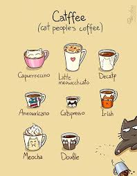 See more ideas about puns, food puns, funny puns. Image Result For Cat Food Puns Cat Puns Crazy Cats Cat Comics