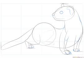 How To Draw A Black Footed Ferret Step By Step Drawing Tutorials Drawing Tutorial Drawings Step By Step Drawing