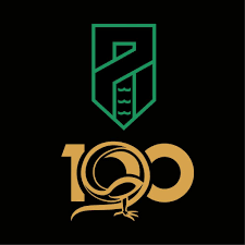 Mirko stefani ( captain ) filippo berra ( pinjaman dari bari ) giacomo calò ( pinjaman dari genoa ) sebastian musiolik ( pinjaman dari raków częstochowa. Maglie Pordenone 2020 2021 La Stagione Del Centenario
