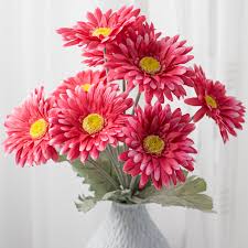 Image result for Gerbera