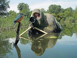 117 Crazy Photographers Who Will Do Anything For The Perfect Shot Nature Photographs Photographer Humor Wildlife Photography