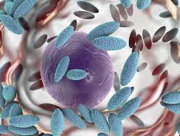 Hold the shift key and press the last cell in the desired range. Practical Approach To Recurrent Vulvovaginitis