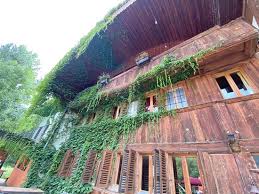 5/ mettre au four pour environ 40 minutes à 180 °c. L Endroit Est Magnifique Calme Absolu Acces Direct Au Lac Seul Bemol Le Petit Dejeuner Qui