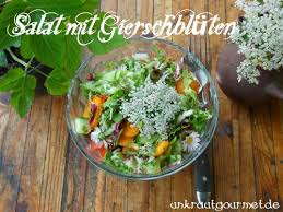 unkrautgourmet pflanzen essen rezepte und mehr salat mit gierschbluten rezepte salat mit giersch
