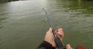 Au posé, au vif, à la cuiller tournante et ondulante, au poisson nageur, au leurre souple, à la tirette, à la mouche et les maniements. Partir D Une Mure Pour Arriver A Un Silure La Peche En Toute Simplicite Partie 2 2