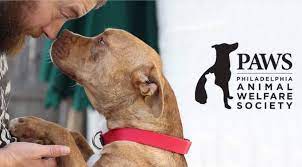 If you are affiliated with an organization that trains. Adopt