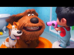 Get full reviews, ratings, and advice delivered weekly to your inbox. Hollywood Movies In Hindi Dubbed 2019 The Secret Life Of Pets Youtube