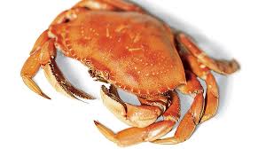 Watch and learn as captain vincent russo shows youhow to clean your catch. How To Cook Crab The Guide To Dungeness Crab Sunset Magazine