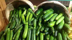 The seeds found in zucchini are completely harmless, but if eaten raw they might cause some digestion issues. Can Dogs Eat Squash Zucchini Pumpkin And Eggplant Barking Royalty