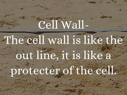 Jul 18, 2021 · creative, related to the theme, includes plant/animal cell designation. Cell Analogy Volleyball Game Rebecca By Angela