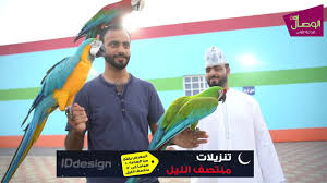 أول نادي خاص بالببغاوات في سلطنة عمان youtube