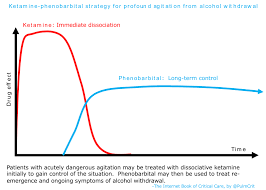 alcohol withdrawal emcrit project