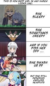 True Best Girl In Any Harem Anime Animemes The series itself is split into 4 arcs spanning roughly 3 episodes each, with the as someone on reddit put it, this is the perfect definition of a 7/10 anime. true best girl in any harem anime