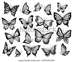 This page is about butterfly flying clip art black and white,contains butterflies flying butterfly clipart clipartfox,flying butterfly clipart,butterfly 25 download flying butterfly outline clipart flying butterfly clipart black and white png these pictures of this page are about:butterfly flying. Butterfly Outline Find And Download Best Transparent Png Clipart Images At Flyclipart Com