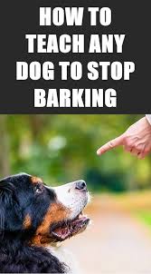 No One Should Expect A Dog To Never Bark But Some Dogs Bark Excessively Here S How To Get Your Dog To Stop Barking At Other D Dog Training Dogs Puppy Barking