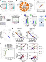 Each match has different strong and weak areas and its own quirks and unique features. Pan Cancer Analysis Reveals Cooperativity Of Both Strands Of Microrna That Regulate Tumorigenesis And Patient Survival Nature Communications