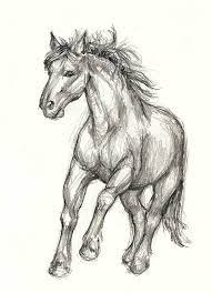Pin On Ilga S Drawings