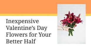 With a hand delivered plant gift, they'll. Inexpensive Valentine S Day Flowers For Your Better Half Inspiring Meme