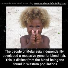 The People Of Melanesia Independently Developed A Recessive Gene For Blond Hair This Is Distinct From The Blond Hai Unbelievable Facts Wtf Fun Facts Fun Facts