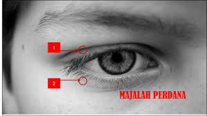 Mata kedutan juga dikenal sebagai mytokymia. Maksud Kening Kiri Bergerak Best Ideas