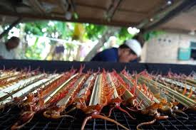 Lipan yang selalu dijumpai ni boleh mencapai sehingga 20cm panjang dan badannya berwarna merah atau coklat kemerahan. Cerita Ricky Raup Omzet Ratusan Juta Dari Jual Sate Lipan Ekspor Hingga Ke Vietnam Halaman All Kompas Com