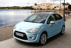 Image result for Brun Guaranja 2011 Citroen