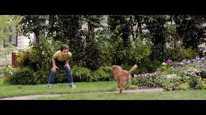 A dog's purpose free movie. A Dog S Purpose 2017 Imdb