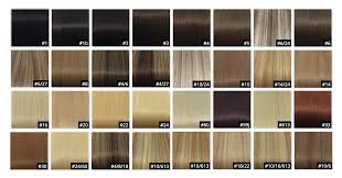Punctual Hair Extension Color Number Chart In Human Remy