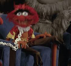 11 Animal Gifs That Are Perfect For Any Occasion Animal Muppet The Muppet Show Animal Gifs