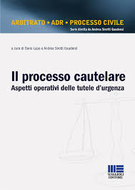 Il consulente tecnico, nei processi odierni, svolge una funzione valutativa che si concreta in un giudizio, sia pure ausiliario alla formazione del convincimento del magistrato (che emette il giudizio finale e dunque la. Il Processo Cautelare Maggioli Editore
