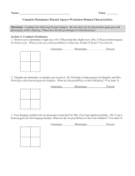 Create your own worksheets like this one with infinite algebra 1. Complete Dominance Punnett Square Worksheet