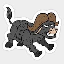 A Angry African Cape Buffalo Running A Funny Cartoon Animal Illustration Buffalo Sticker Teepublic Cute buffalo cartoon premium vector. a angry african cape buffalo running a funny cartoon animal illustration