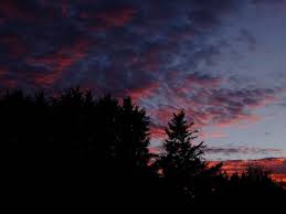 Find & download free graphic resources for sunset background. Sunset Clouds Night Dark Horizon Sky Background Toppng