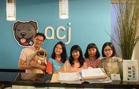 4,067 likes · 9 talking about this · 1,549 were here. Best English Speaking Vet Clinics In Jakarta Flokq Coliving Jakarta Blog