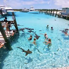 Top Things To Do In The Exumas Bahamas Travel Guide Bahamas Travel Bahamas Travel Guide Caribbean Travel
