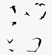 Of these, the simplest type of flight is gliding. Ocean Birds Png File Sea Birds Flying Silhouette Transparent Png Kindpng