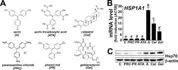 Setiap orang akan mendapatkan 12 kg beras, 10 buah mie instan, dan 8 kemasan minyak goreng. The Quinone Methide Aurin Is A Heat Shock Response Inducer That Causes Proteotoxic Stress And Noxa Dependent Apoptosis In Malignant Melanoma Cells Journal Of Biological Chemistry