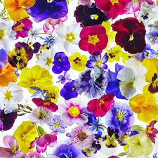 Easy identification via images and distinguishing features such as leaves, flowers use the links at the bottom of this page to navigate these edible flowers (listed in alphabetical order). A Seasonal Selection Of Edible Flowers Maddocks Farm Organics