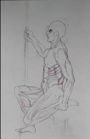 Superficial muscles of the torso. Learning The Muscles For Figure Drawing Love Life Drawing