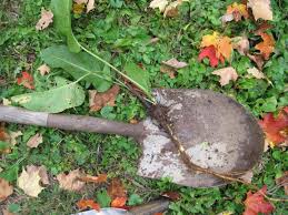 Around september 16, take your cloves apart and plant the toes about 3 to 4 inches deep. Fall Cleanup In The Vegetable Garden 11 Tasks To Do Now The Old Farmer S Almanac