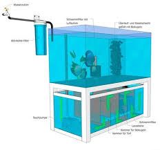 Europa Discus Center Diskus Haltung Diskus Biofilter Aquarium Diskusfische Aquarium Fische Aquarium Einrichten