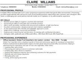 Executive assistants, also sometimes called personal assistants, play key roles in a company because they assist one or more executives, such as high level officials, the ceo, or the owner of a company. Personal Assistant Cv Personal Statement June 2021