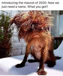 30 Relatable Tired Meme Ideas To Exchange With Your Coworkers Legit Ng