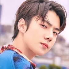 Suho dating sehun hna online dating dating native american indian. Sehun Net Worth Salary Bio Height Weight Age Wiki Zodiac Sign Birthday Fact