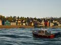 Log in to add custom notes to this or any other game. Worthplaying Fishing North Atlantic Narrows Down Release Date Screens Trailer