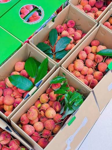 🍇 Tại Sao Nên Chọn Vận Chuyển Hỏa Tốc Cho Vải Thanh Hà?